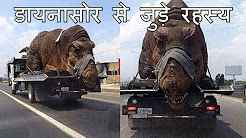 Mysteries of Dinosaurs Hindi Full Movie